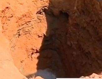 കോട്ടയത്ത് കിണര്‍ ഇടിഞ്ഞ് വീണ് രണ്ടുപേര്‍ മരിച്ചു