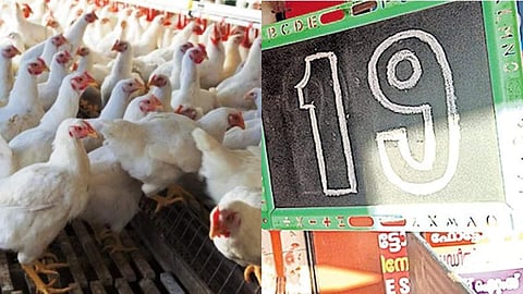 മത്സരിച്ച് വില്‍പ്പന, നാലു കോഴിമുട്ടയുടെ വിലയ്ക്ക് ഒരു കിലോ കോഴി; ഇവിടെ കച്ചവടം 19 രൂപയ്ക്ക്