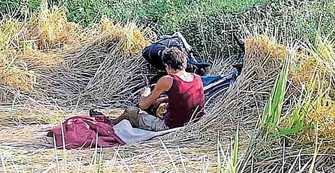 കേരളം കണ്ട് പാടത്ത് കിടന്നുറങ്ങി; വിദേശി വയലില്‍ തളര്‍ന്ന് വീണെന്ന് പ്രചാരണം; ഫ്രഞ്ച് യുവാവ് ഐസലേഷനില്‍