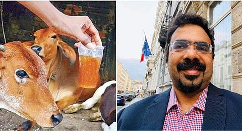 ഗോമൂത്രം വെറും 'മൂത്രം' മാത്രം ; ദ്രാവക രൂപത്തിലുള്ള 'വേസ്റ്റ്'