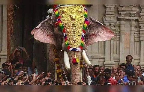 തെച്ചിക്കോട്ടുകാവ് രാമചന്ദ്രന്റെ വിലക്ക് നീക്കി; ആഴ്ചയില്‍ രണ്ടുദിവസം പാലക്കാട്- തൃശൂര്‍ ജില്ലകളില്‍ മാത്രം എഴുന്നളളിക്കാം