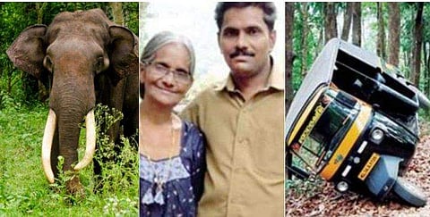മുന്നിൽ കലി തുള്ളി കാട്ടാന ; അമ്മയെ രക്ഷിക്കാൻ ആനയുടെ മുന്നിലൂടെ ഓടി മകന്റെ 'സാഹസം' ; ഓട്ടോ തകർത്ത് 'കലിപ്പടക്കി'