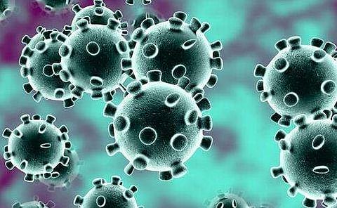 സംസ്ഥാനത്ത് വീണ്ടും കോവിഡ്; കൊച്ചിയില്‍ അഞ്ചുപേര്‍ക്ക് കൂടി സ്ഥിരീകരിച്ചു