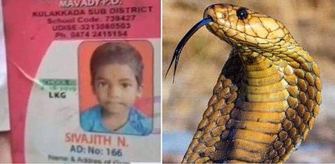 അച്ഛനും അമ്മയ്ക്കും ഒപ്പം ഉറങ്ങിക്കിടന്ന കുട്ടി പാമ്പു കടിയേറ്റ് മരിച്ചു