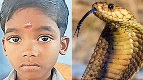 'അറിയാത്ത പണി എടുക്കരുത്, പാമ്പുകടിയേറ്റ കുഞ്ഞിന്റെ ജീവനാണ് നാല് മണി കുരുമുളകില്‍ ഒതുക്കിയത്',നാടന്‍ ചികിത്സ കൊല!; കുറിപ്പ്  