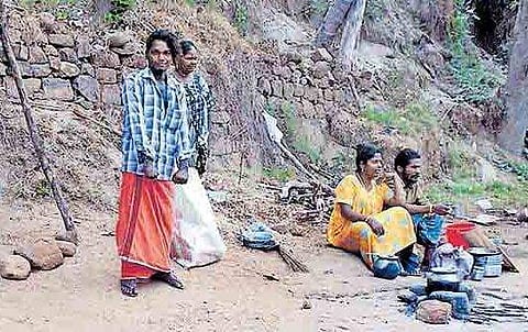 വെള്ളം തേടി വലഞ്ഞ് മടുത്തു; പമ്പാനദി തീരത്ത് ഷെഡ്ഡുകെട്ടി താമസമാക്കി ഏഴംഗ കുടുംബം