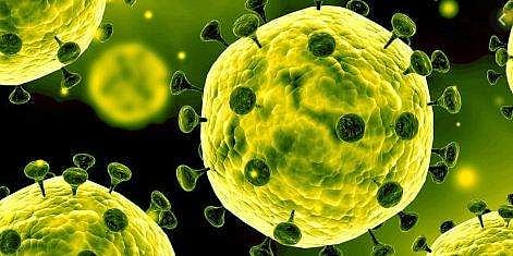 സംസ്ഥാനത്ത് ഒരു കോവിഡ് മരണം കൂടി; അട്ടപ്പാടിയില്‍ ആദിവാസി സ്ത്രീ മരിച്ചു