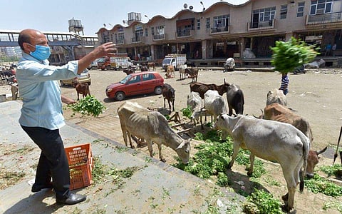 പ്രതീകാത്മകചിത്രം