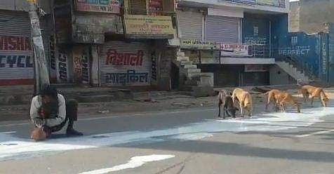 'ലോക്ക്ഡൗണിലെ ദയനീയ കാഴ്ച'; തെരുവിലൊഴുകുന്ന പാല്‍ നക്കികുടിച്ച് തെരുവു നായ്ക്കള്‍, ഒപ്പമിരുന്ന് കോരിയെടുത്ത് മനുഷ്യന്‍ ( വീഡിയോ)