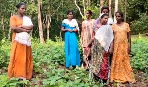 ചാരായ വേട്ടക്കിറങ്ങി വീട്ടമ്മമാര്‍, കുടുംബശ്രീ അംഗങ്ങളുടെ 'റെയ്‌ഡില്‍' കണ്ടെത്തിയത്‌ 100 ലിറ്റര്‍ വാഷ്‌