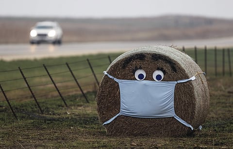 അമേരിക്കയിലെ ഫ്ലോറിഡയിൽ കോവിഡ് രോ​ഗത്തേയും പ്രതിരോധത്തേയും ഓർമിപ്പിക്കാൻ വൈക്കോൽ കൂന ഉപയോ​ഗിച്ചിരിക്കുന്നു