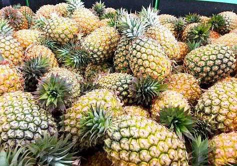 പൈനാപ്പിള്‍ ചലഞ്ച്; വിറ്റഴിച്ചത് ടണ്‍ കണക്കിന്; മറ്റ് ജില്ലകളിലേക്ക് വ്യാപിപ്പിച്ച് കൃഷി വകുപ്പ്