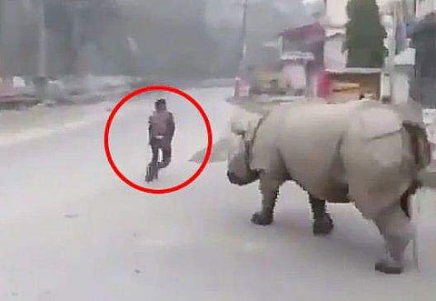 ലോക്ക്ഡൗണിലായി ജനം; റോഡ് കയ്യേറി കാണ്ടാമൃഗം, സൈ്വര്യവിഹാരം  ( വീഡിയോ)