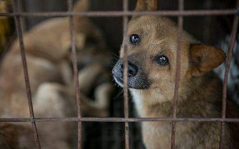 പ്രതീകാത്മക ചിത്രം