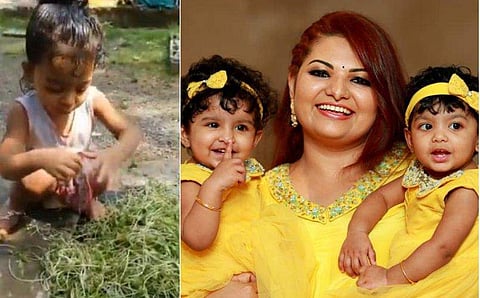 മൈക്രോ ഫാമിങ് നടത്തി ഉമ്മിണിത്തങ്കയും ഉമ്മുക്കുലുസുവും; ഇരട്ടക്കുട്ടികളുടെ വിഡിയോ പങ്കുവച്ച് സാന്ദ്ര 