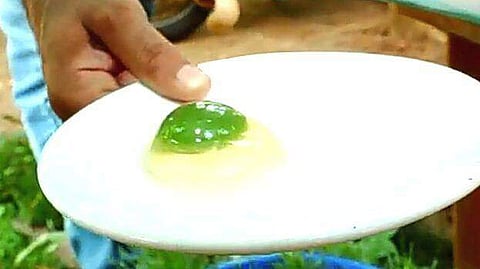 തീറ്റ മാറിയിട്ടും നിറം മാറിയില്ല; ഒതുങ്ങലിലെ കോഴി ഇട്ട മുട്ട പച്ച തന്നെ!