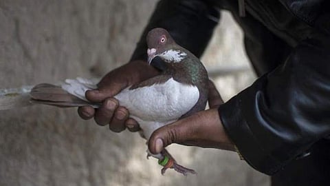 പ്രതീകാത്മക ചിത്രം