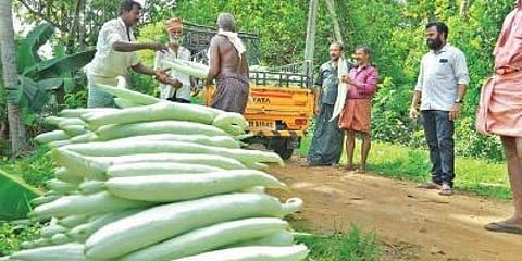 കിസാന്‍ ക്രെഡിറ്റ് കാര്‍ഡില്ലാത്തവരുടെ വായ്പാ തിരിച്ചടവിന് സാവകാശം നല്‍കണം, ആഗസ്റ്റ് 31 വരെ നീട്ടണമെന്ന് കേന്ദ്രത്തോട് സംസ്ഥാനം 