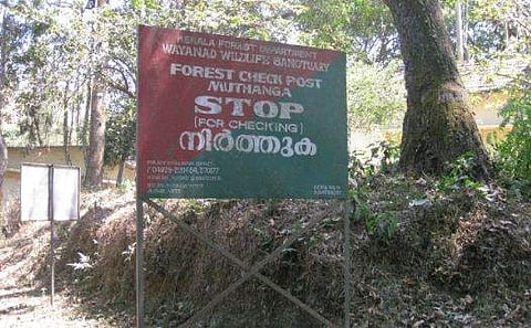 മുത്തങ്ങ വഴി ദിവസവും 1000 പേർക്ക് പ്രവേശിക്കാം; വെള്ളിയാഴ്ച മുതൽ പ്രാബല്യത്തിൽ