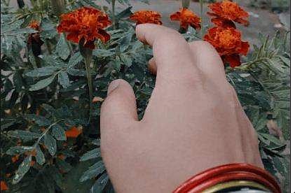 'മൂളിയലംങ്കാരി'- രവി എഴുതിയ കഥ 