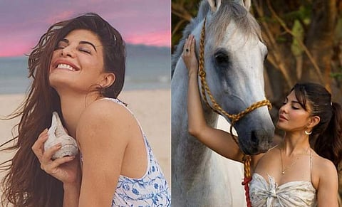 മരം കയറ്റം മുതൽ കുതിര സവാരി വരെ, ലോക്ക്‌ഡൗൺ സൽമാന്റെ ഫാം ഹൗസിൽ; നടി ജാക്വലിന്റെ വിഡിയോ 