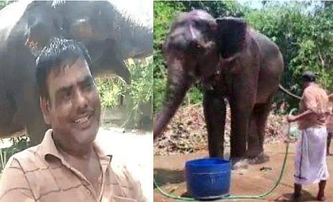 'എന്റെ ജീവന്‍ രക്ഷിച്ചവരാണ്'; അഞ്ചു കോടിയുടെ സ്വത്ത് രണ്ട് ആനകള്‍ക്ക് എഴുതിവെച്ച് ഉടമ