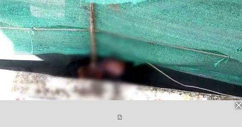 ശ്രീകാര്യത്ത് കെട്ടിത്തൂക്കിയ നിലയിൽ കണ്ടെത്തിയ മൃതദേഹം തിരിച്ചറിഞ്ഞു ; കൊല്ലപ്പെട്ടത് വർക്കല സ്വദേശിയായ യുവാവ്