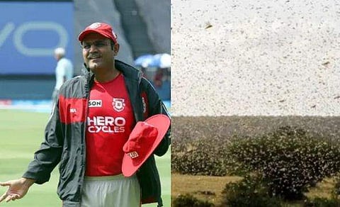 വീടിന് മുകളിലെ വെട്ടുകിളി ആക്രമണം, ദൃശ്യങ്ങള്‍ പങ്കുവെച്ച് വീരേന്ദര്‍ സെവാഗ്