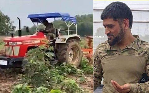 ട്രാക്ടർ ഓടിച്ച് ധോനി, ഫാം ഹൗസിൽ ഓർഗാനിക് കൃഷി പഠിച്ച് താരം; വൈറലായി വിഡിയോ 