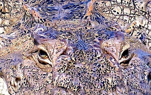 ഈ ചിത്രത്തിൽ ആരാണ്? സോഷ്യൽ മീഡിയയെ അമ്പരപ്പിച്ച് ഒരു ഫോട്ടോ