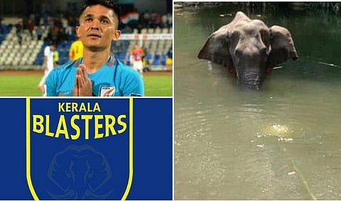 ഒരു സാധു മൃഗമായിരുന്നില്ലേ...ആ വികൃത ജന്തുക്കള്‍ക്ക് ശിക്ഷ ലഭിക്കണമെന്ന് സുനില്‍ ഛേത്രി, ലോഗോയിലെ കൊമ്പനെ അദൃശ്യനാക്കി കേരള ബ്ലാസ്റ്റേഴ്‌സ്‌