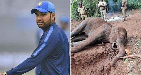 നിഷ്ഠൂരരാണ് നമ്മള്‍, തിരിച്ചടി കൊണ്ടൊന്നും പഠിക്കുന്നില്ല; ഹൃദയം തകര്‍ത്തെന്ന് രോഹിത്