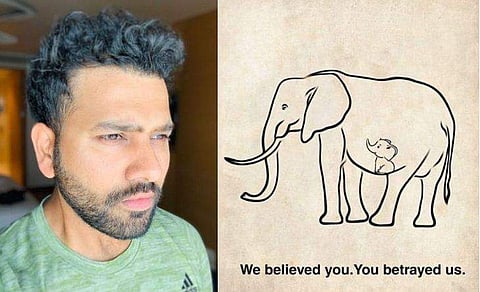 കൊമ്പനാനയുടെ ഉദരത്തിൽ കുട്ടി! വിമർശനക്കുറിപ്പിൽ രോഹിത്തിന് പറ്റിയ അബദ്ധം; ‘ട്രോൾ മഴ’ 