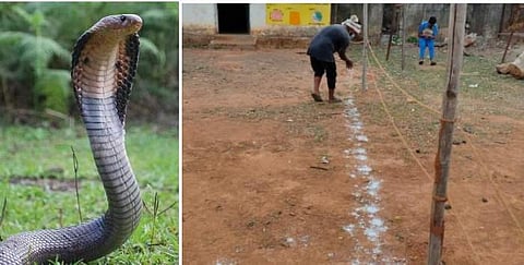 വിഷപ്പാമ്പുകള്‍ ഇനി 'വരയ്ക്കുപുറത്ത്' ; ക്വാറന്റീന്‍ സെന്ററുകള്‍ക്ക് ചുറ്റും 'ലക്ഷ്മണരേഖ' വരച്ച് ഉദ്യോഗസ്ഥര്‍, വിമര്‍ശനം