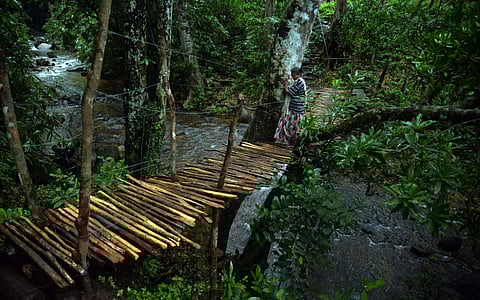 കാടിറങ്ങേണ്ടിവരുമോ കാടിന്റെ അവകാശികള്‍ക്ക്?