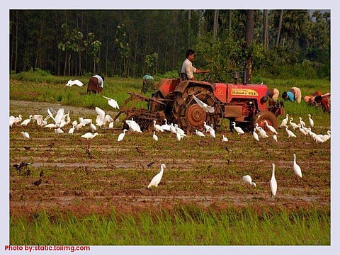 കര്‍ണാടകയില്‍ ഇനി ആര്‍ക്കും കൃഷി ഭൂമി വാങ്ങാം; ഭൂപരിഷ്‌കരണ നിയമത്തില്‍ ഭേദഗതി