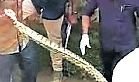 മീനിനായി പാടത്ത് വല വിരിച്ചു, കുടുങ്ങിയത് 25 കിലോ തൂക്കമുളള പെരുമ്പാമ്പ്; തടിച്ചുകൂടി നാട്ടുകാര്‍