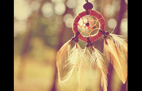 'പെണ്ണും പ്ലാവും'- വി.എം ഗിരിജ എഴുതിയ കവിത