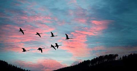 'ഭൂപടത്തില്‍ ഇല്ലാത്തത്'- ശിവദാസ് പുറമേരി എഴുതിയ കവിത