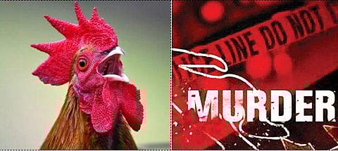 പൂവന്‍ കോഴി വീട്ടില്‍ കയറി; ഭാര്യയും ഭര്‍ത്താവും ചേര്‍ന്ന് അയല്‍ക്കാരനെ കല്ല് കൊണ്ടു അടിച്ചു കൊന്നു