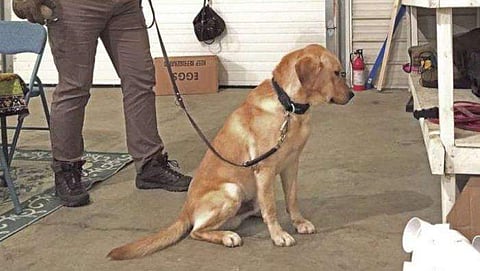 പ്രതീകാത്മക ചിത്രം