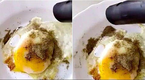 ബുള്‍സ് ഐയില്‍ കുരുമുളക് പൊടി കൂടിപ്പോയി, നീക്കം ചെയ്യാന്‍ വാക്വം ക്ലീനര്‍; സംഭവിച്ചത്? (രസകരമായ വീഡിയോ)