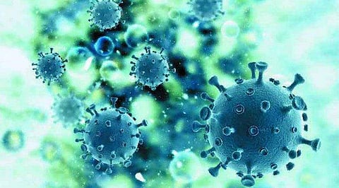 റുഖിയയുടെ കുടുംബത്തിൽ മൂന്നാമത്തെ മരണം; മരുമകൻ മുഹമ്മദലിയും മരിച്ചു, കോവിഡ് പരിശോധന