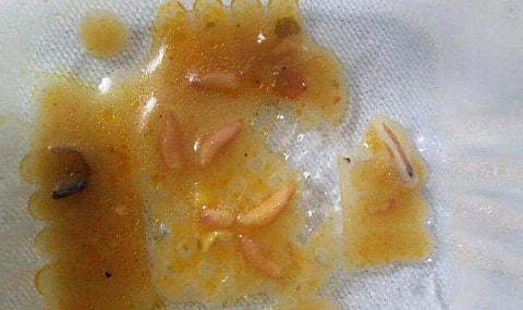 കോവിഡ് ഡ്യൂട്ടിയിലുള്ള ഡോക്ടര്‍മാരുടെ ഭക്ഷണത്തില്‍ പുഴുക്കള്‍, പരാതി പറഞ്ഞിട്ടും മാറ്റമില്ല; ചിത്രങ്ങള്‍ പുറത്തുവിട്ട് ആരോഗ്യപ്രവര്‍ത്തകര്‍