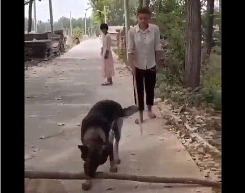 'കണ്ണുണ്ടായാല്‍ പോര, കാണണം'- ഈ നായ നമ്മോടു പറയുന്നത് (വീഡിയോ)