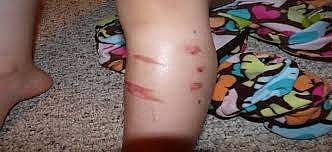 പ്രതീകാത്മക ചിത്രം