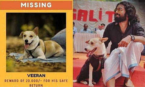 'വീരനെ കാണാനില്ല', കണ്ടെത്തുന്നവർക്ക് 20000 രൂപ പ്രതിഫലം പ്രഖ്യാപിച്ച് നടൻ അക്ഷയ്  