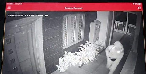 വീടുകള്‍ യുവതി തെരഞ്ഞെടുക്കും; അതിവിദഗ്ധമായി കൊള്ള നടത്തിയത് 31 വീടുകളില്‍; കവര്‍ന്നത് 2 .6 കോടി; അറസ്റ്റ് 