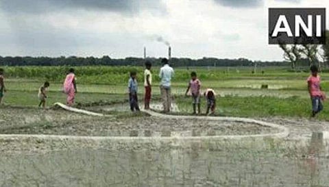 സ്‌കൂള്‍ അടച്ചതോടെ ഉച്ചഭക്ഷണം മുടങ്ങി, പാടത്ത് പണിയെടുത്തും കന്നുകാലികളെ വളര്‍ത്തിയും കുട്ടികള്‍ 