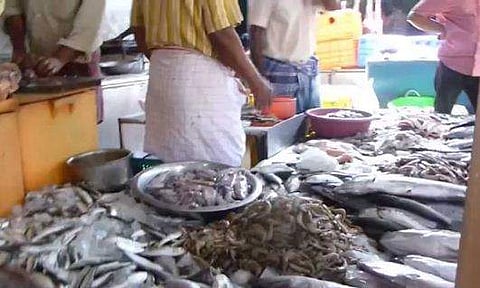 മത്സ്യത്തൊഴിലാളിക്ക് കോവിഡ്; ആലപ്പുഴ തീരത്ത് വ്യാഴാഴ്ച വരെ മത്സ്യബന്ധനവും വിപണനവും നിരോധിച്ചു